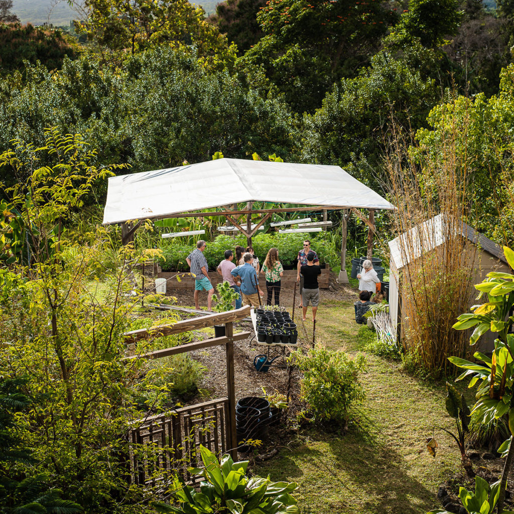 On field class at Honaunau Farm